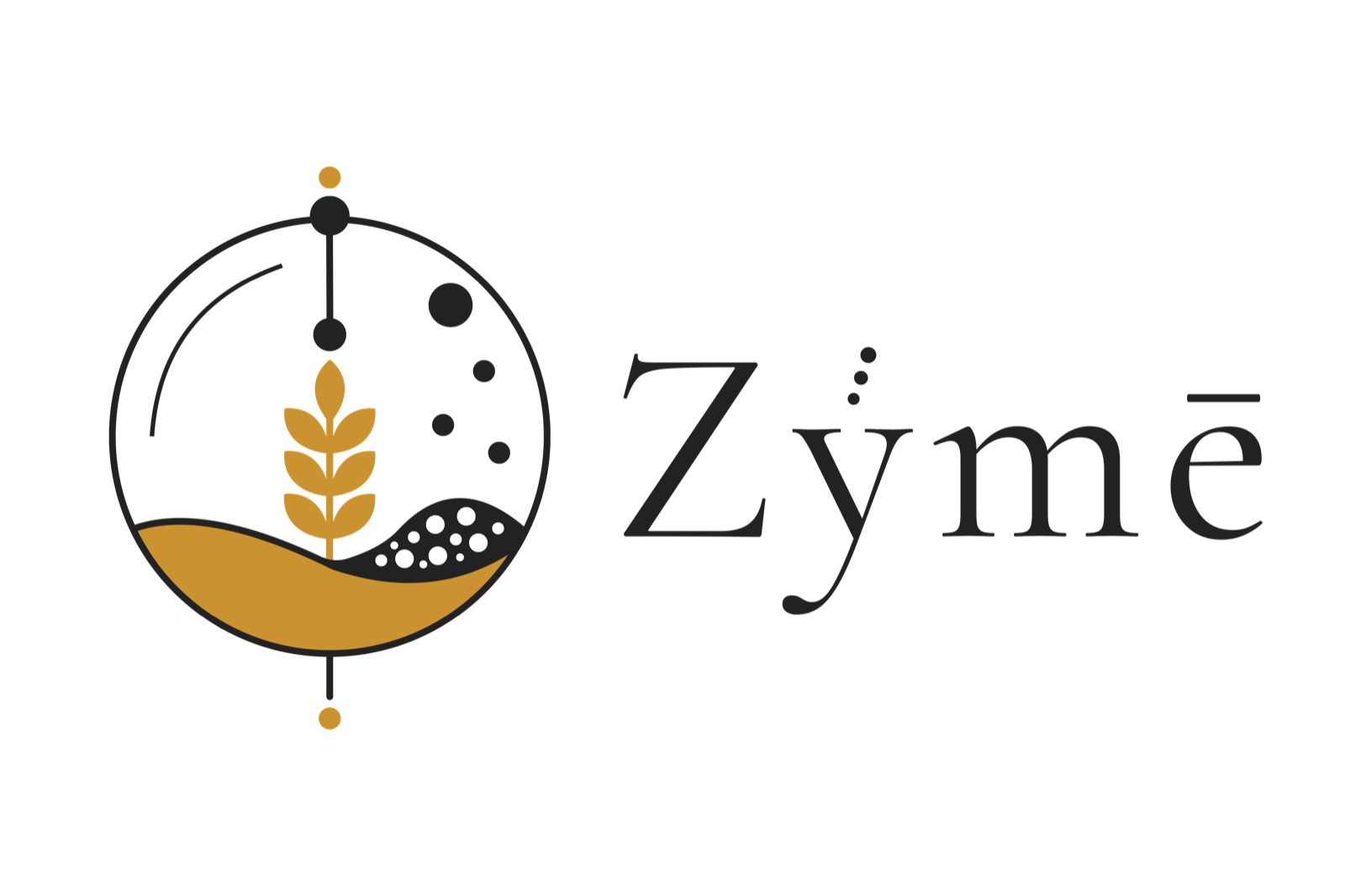 Zýmē