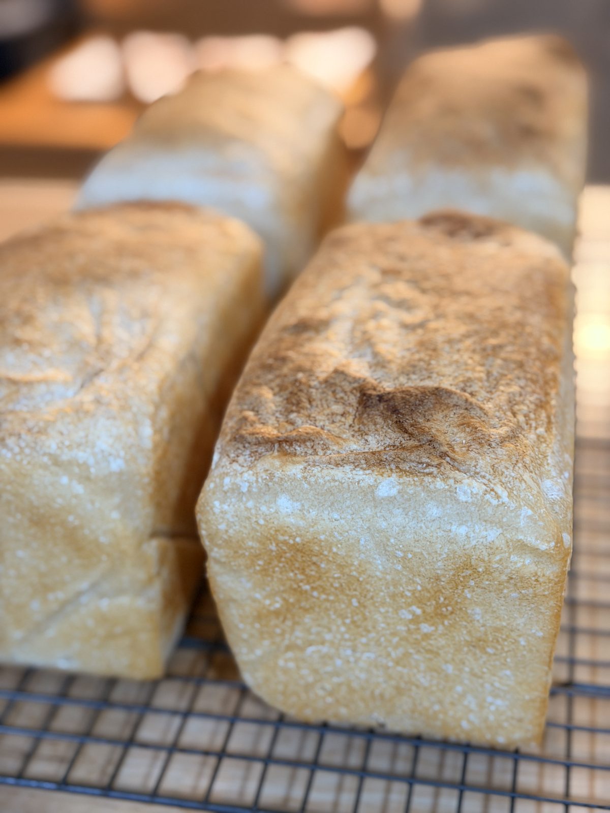 PAN DE MOLDE